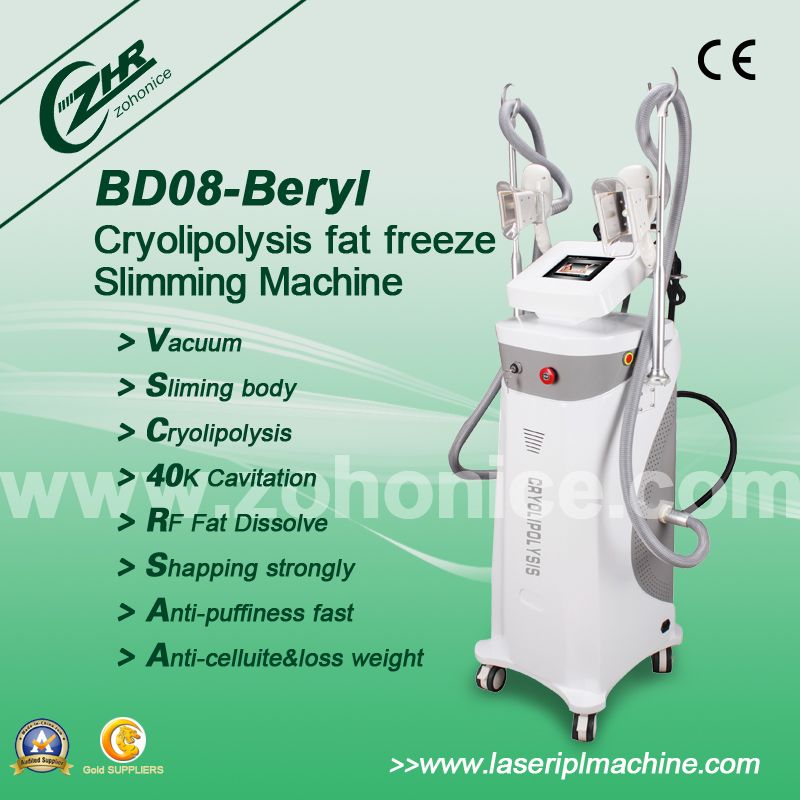4 Handles Cryolipolysis RF Slimming Equipment